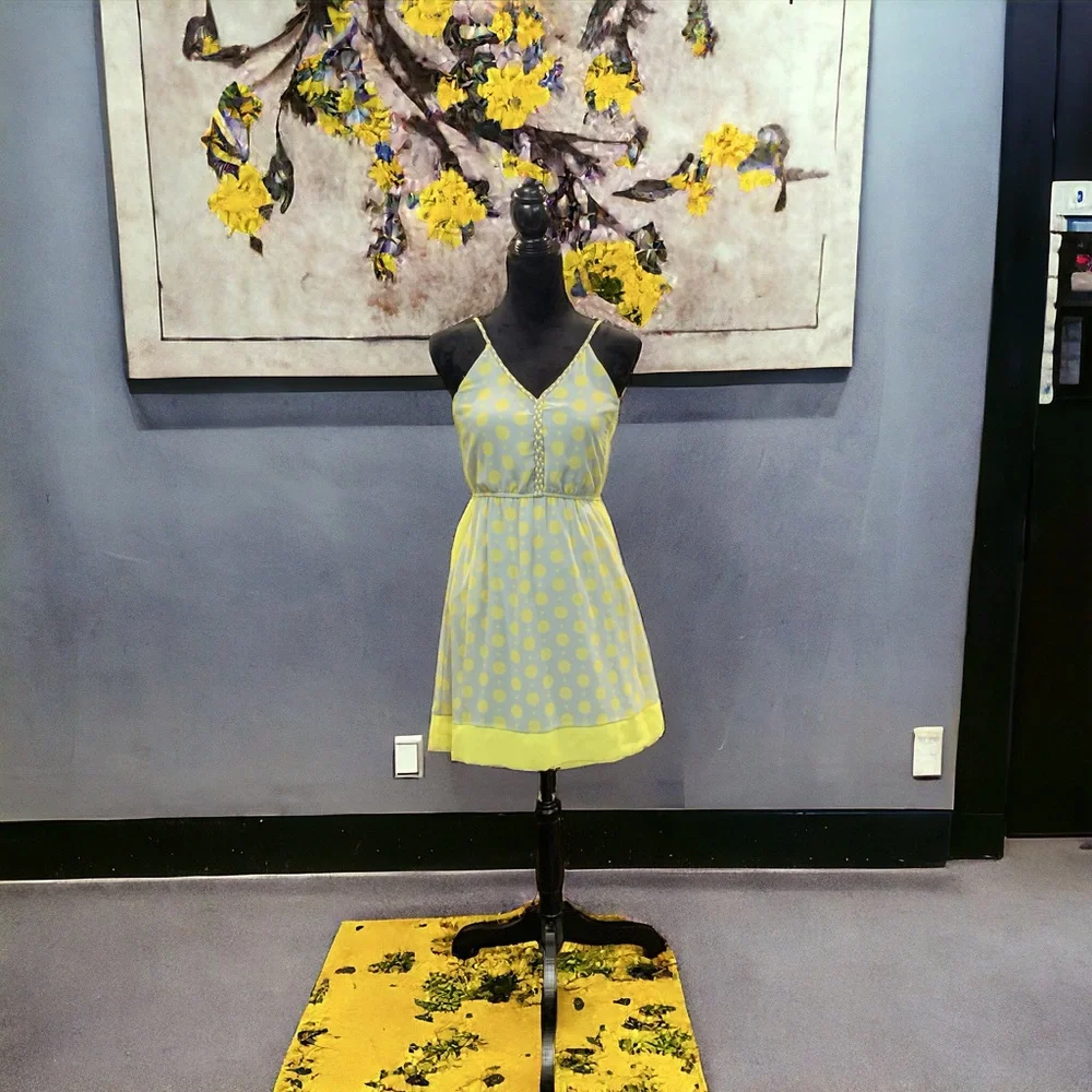 Esley Anthropologie Dress - Picture 1 of 13